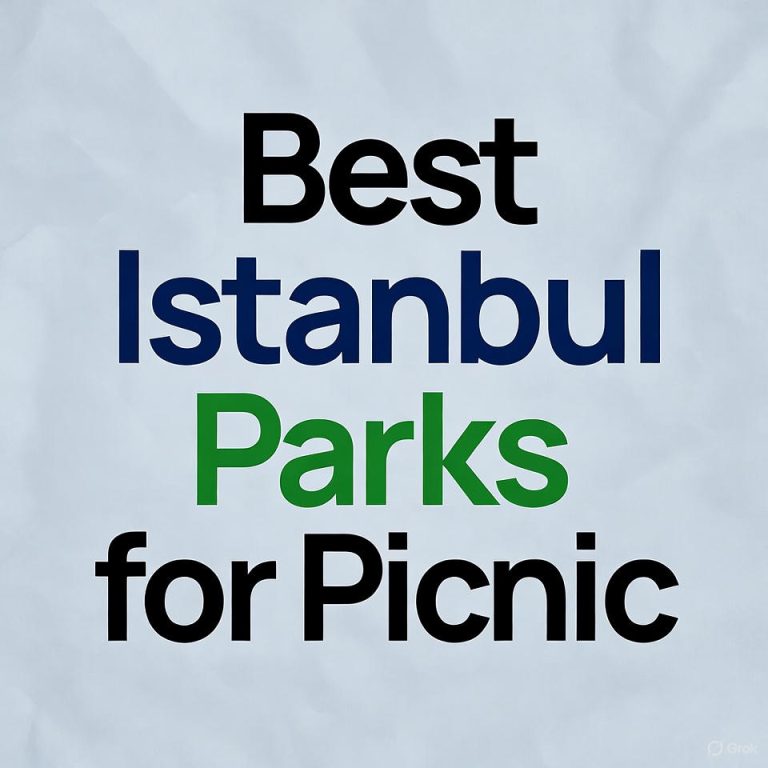 Best Istanbul Parks for Picnic